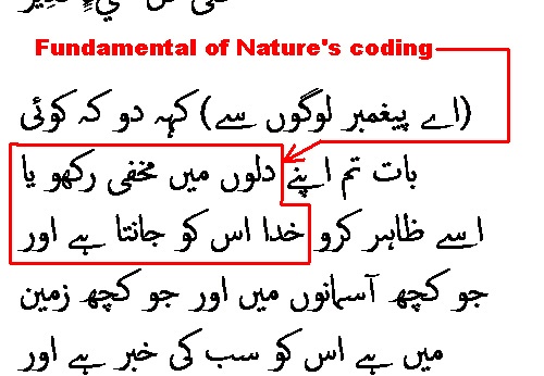 0322 Sura 3-29