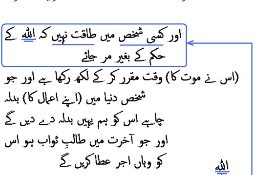 0438 Sura 3-145