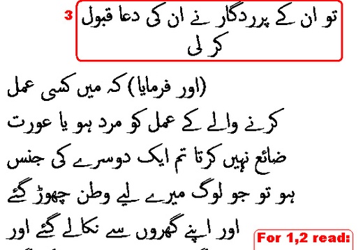 0488 Sura 3-195