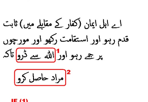 0493 Sura 3-200