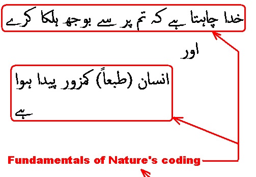 0521 Sura 4-28