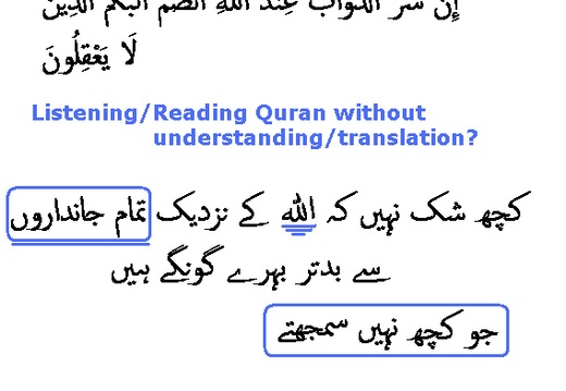 1182 Sura 8-22