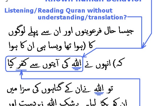 1212 Sura 8-52