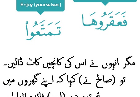 1538 Sura 11-65
