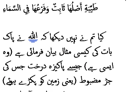 1774 Sura 14-24