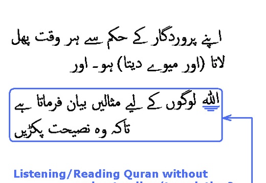 1775 Sura 14-25