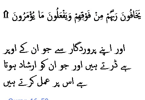 1951 Sura 16-50
