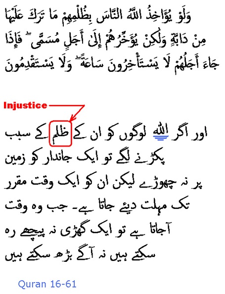 1962_Sura_16-61.JPG