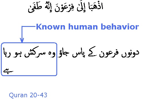 2391 Sura 20-43