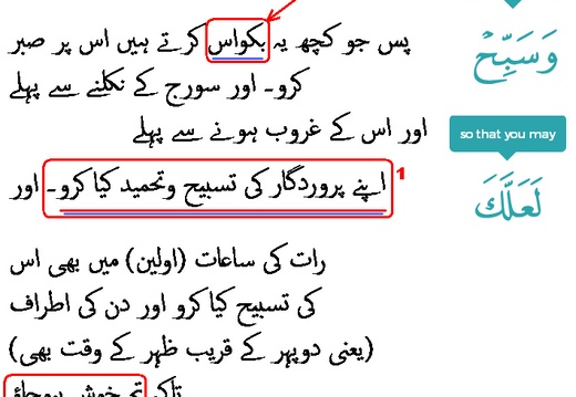 2478 Sura 20-130