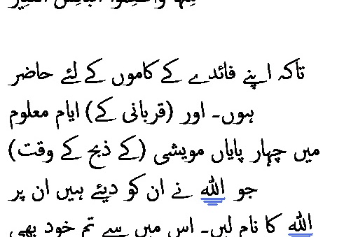 2623 Sura 22-28
