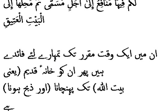 2628 Sura 22-33