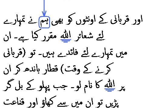 2631 Sura 22-36