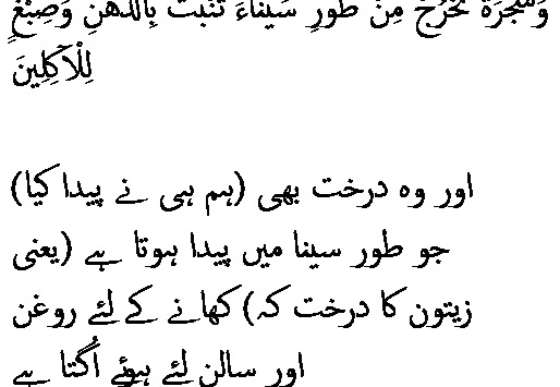 2693 Sura 23-20