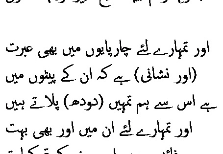 2694 Sura 23-21
