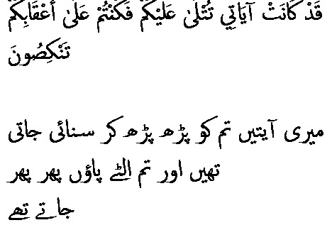 2739 Sura 23-66