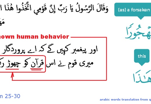 2885 Sura 25-30