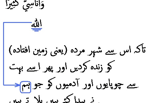 2904 Sura 25-49