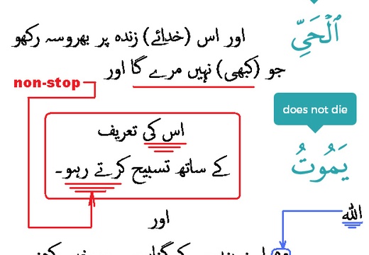 2913 Sura 25-58