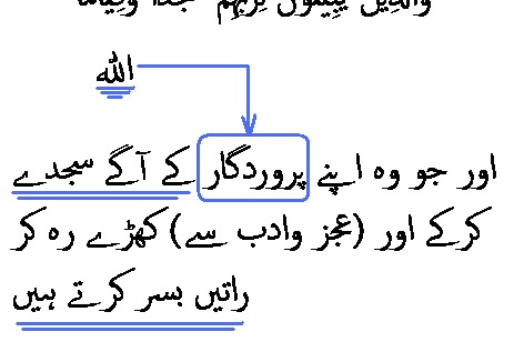 2919 Sura 25-64