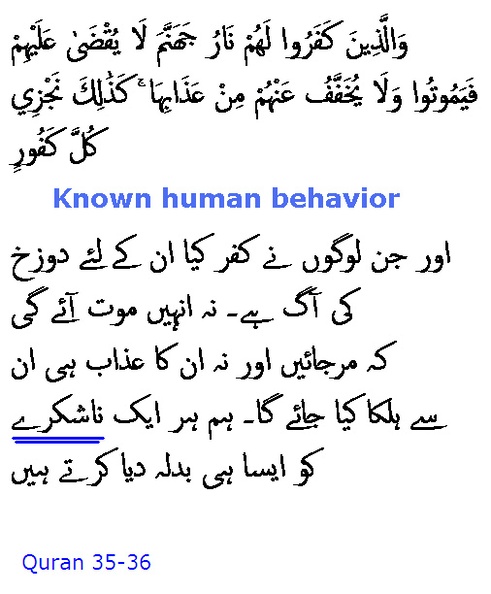 3696_Sura_35-36.JPG
