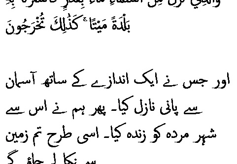 4336 Sura 43-11