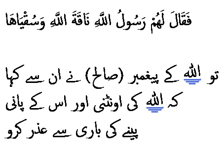 6056 Sura 91-13