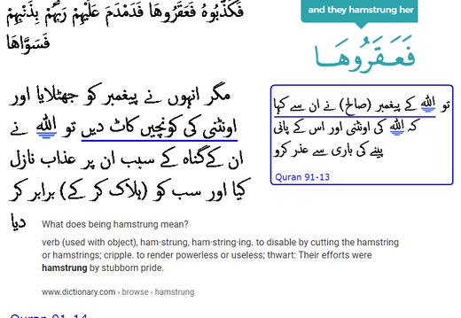 6057 Sura 91-14