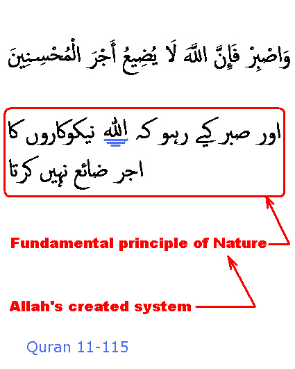 1588_Sura_11-115.JPG