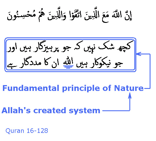 2029_Sura_16-128.JPG