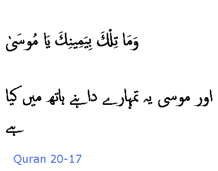 2365 Sura 20-17