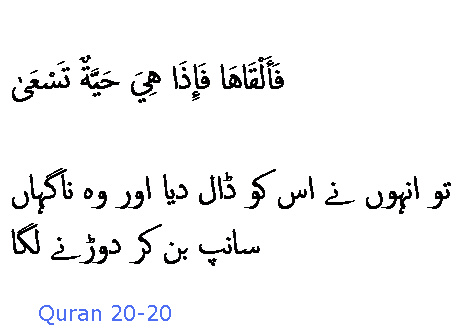 2368 Sura 20-20