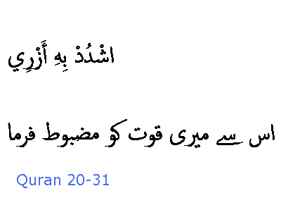 2379 Sura 20-31