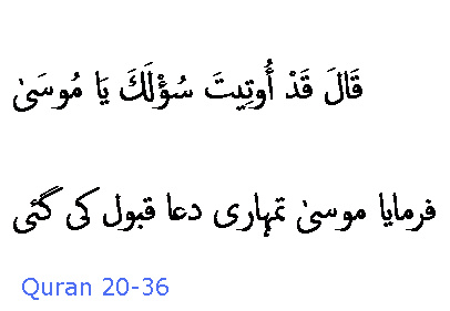 2384 Sura 20-36