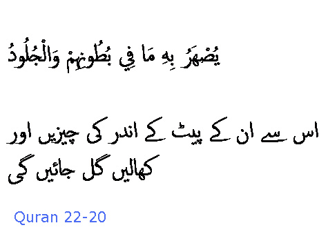 2615 Sura 22-20