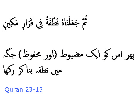 2686 Sura 23-13