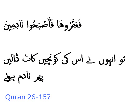 3089 Sura 26-157