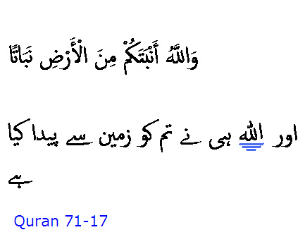 5436 Sura 71-17