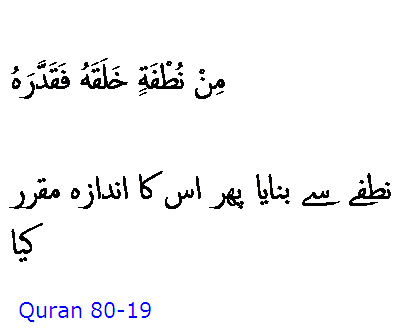 5777 Sura 80-19
