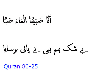 5783 Sura 80-25