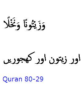 5787 Sura 80-29