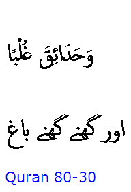 5788 Sura 80-30