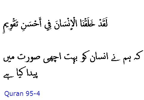 6102 Sura 95-4